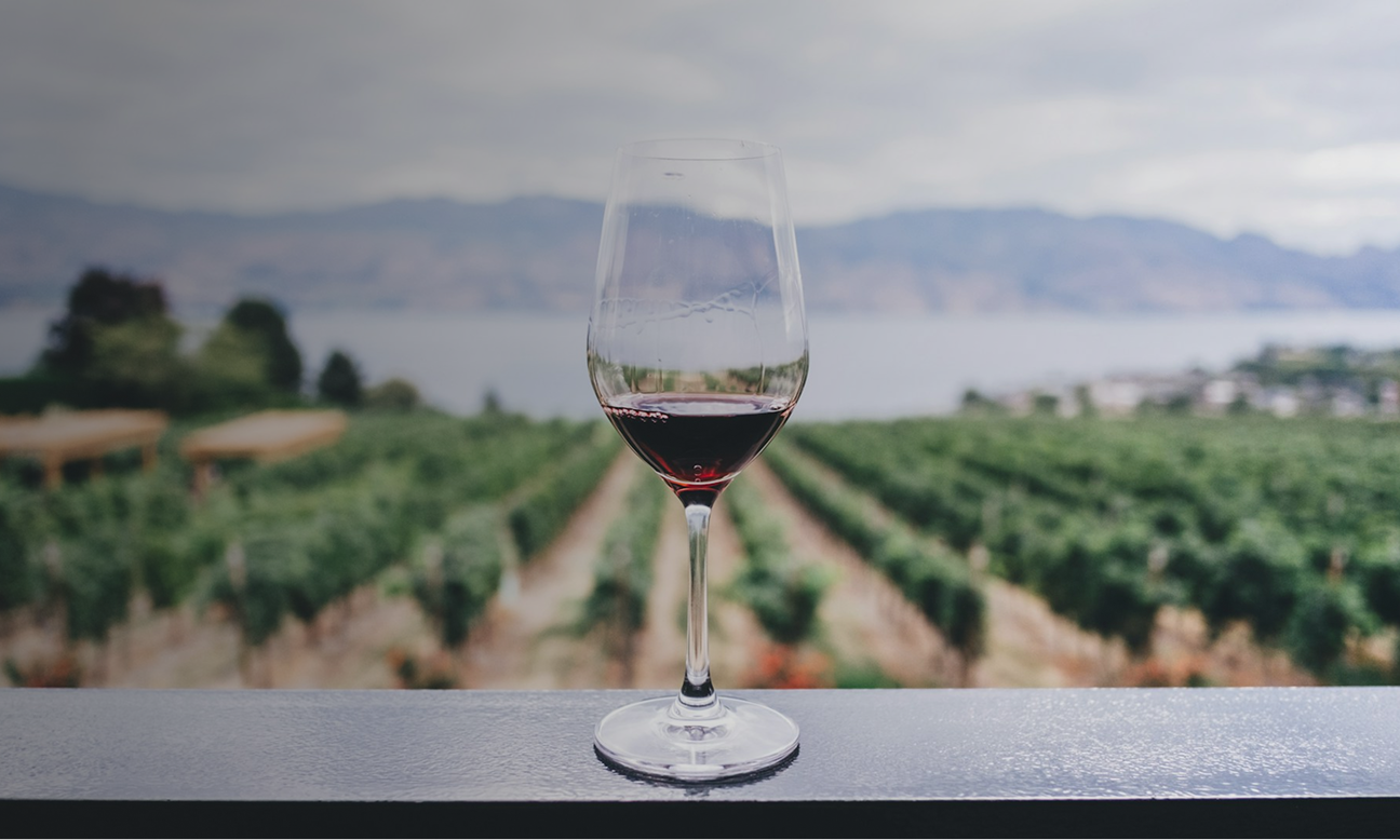 The best wines You Have Ever Tasted